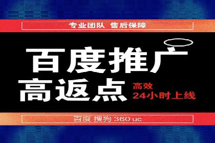 案例分析：SEM托管服务助力电商销量倍增
